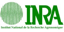 INRA