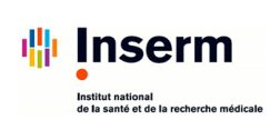 Inserm