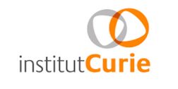 Institut Curie